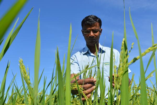 Agricultural Consultation Services